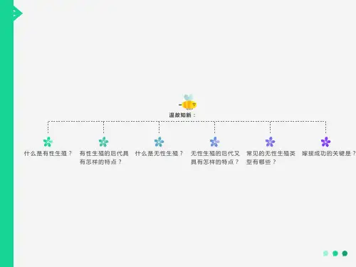 《昆虫的生殖和发育》课件(共41张PPT)