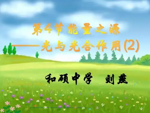 光合作用的原理和应用