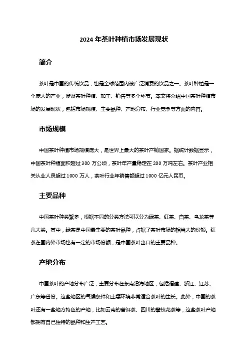 2024年茶叶种植市场发展现状