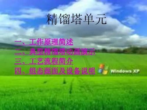 精馏塔仿DCS图