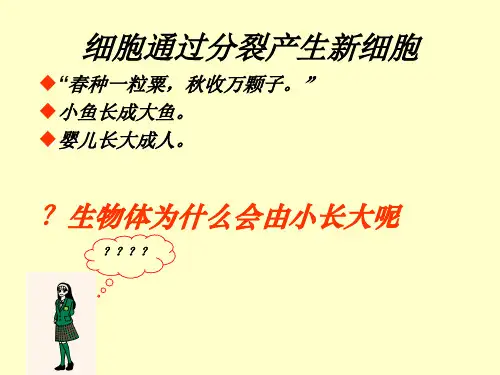 人教版七年级上册生物  2. 细胞通过分裂产生新细胞 课件 