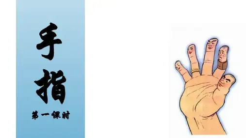 22《手指》第一课时 课件(共17张PPT).ppt