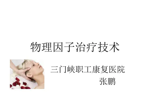 物理因子治疗技术