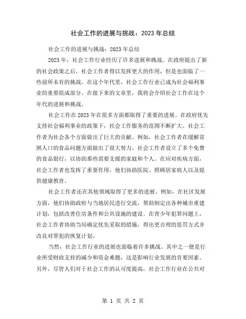 社会工作的进展与挑战：2023年总结