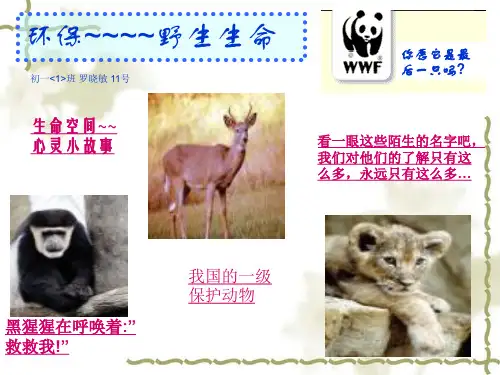 我国的一级保护动物