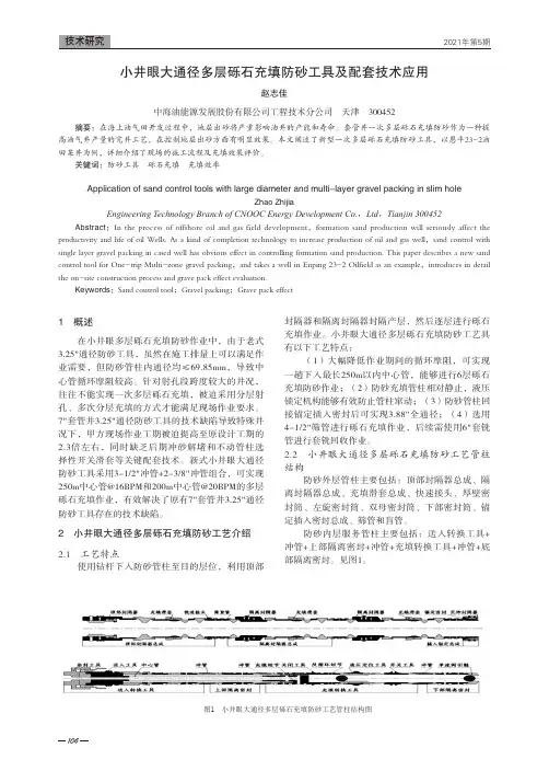 小井眼大通径多层砾石充填防砂工具及配套技术应用
