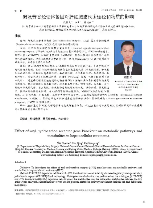 敲除芳香烃受体基因对肝细胞癌代谢途径和物质的影响