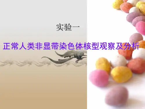 上课用2 正常人类染色体核型观察及分析
