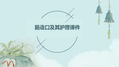 肠造口及其护理课件