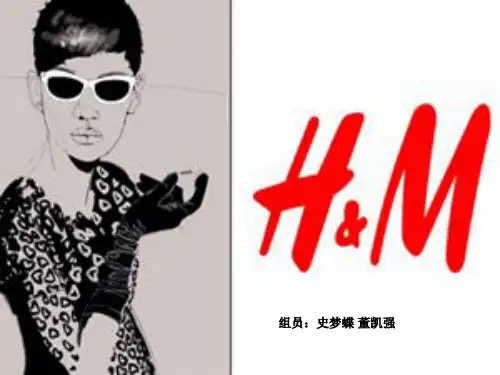 HM品牌分析 ppt课件