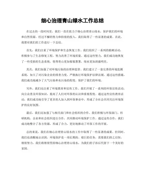 细心治理青山绿水工作总结