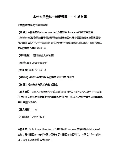贵州省蔷薇科一新记录属——牛筋条属