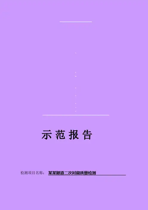 某隧道二衬检测报告范本
