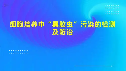 细胞培养中“黑胶虫”污染的检测及防治