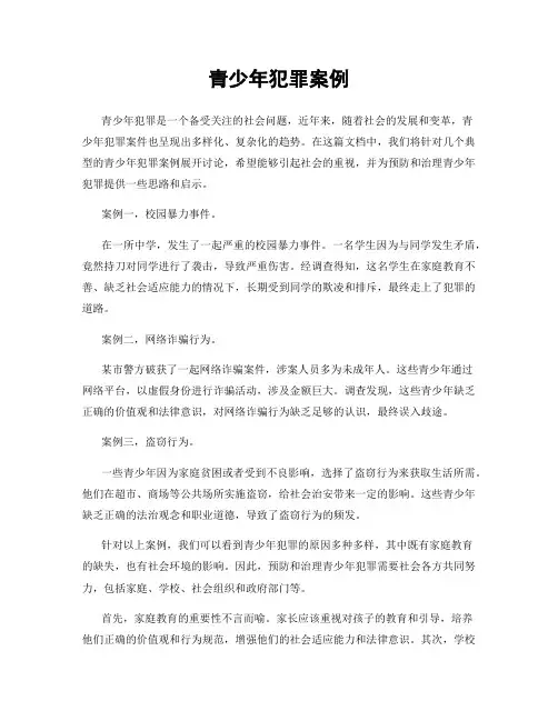 青少年犯罪案例