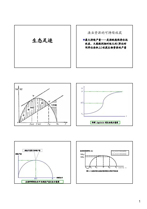 生态足迹