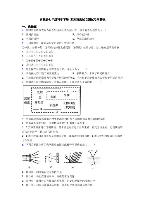 浙教版七年级科学下册 期末精选试卷测试卷附答案