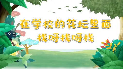 教科版一年级下册科学3.观察一种动物课件(共17张PPT)