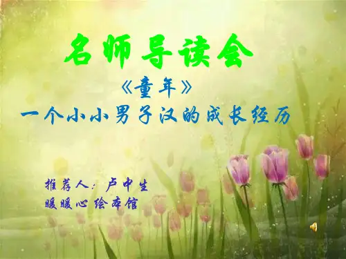 好书推荐高尔基《童年》