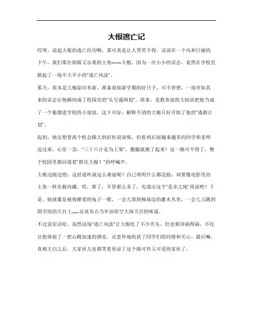 大根逃亡记txt作文