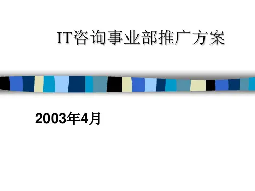 IT咨询事业部营销推广方案(ppt 28页)