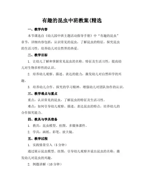 有趣的昆虫中班教案(精选