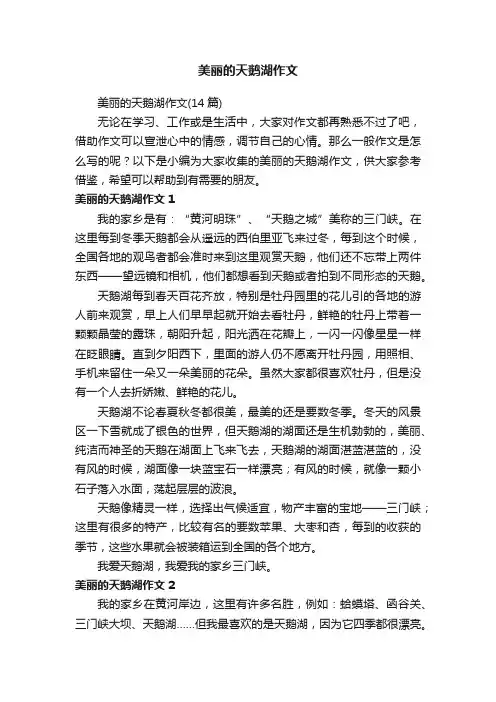 美丽的天鹅湖作文（14篇）