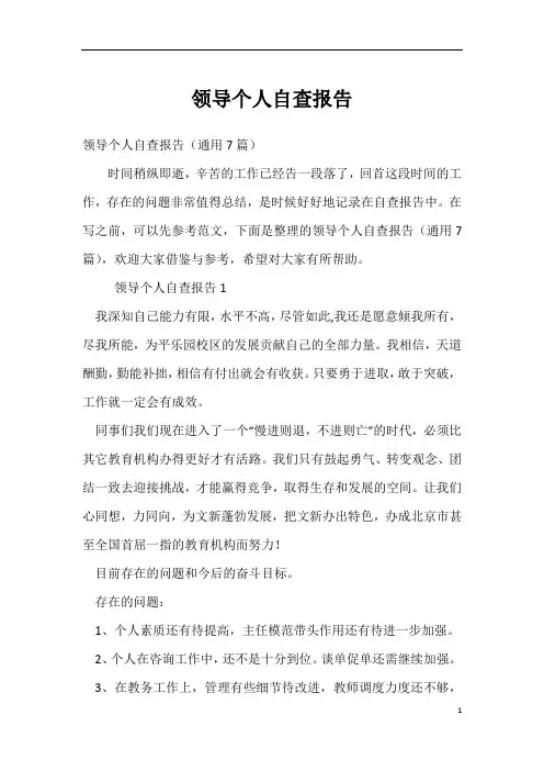 领导个人自查报告