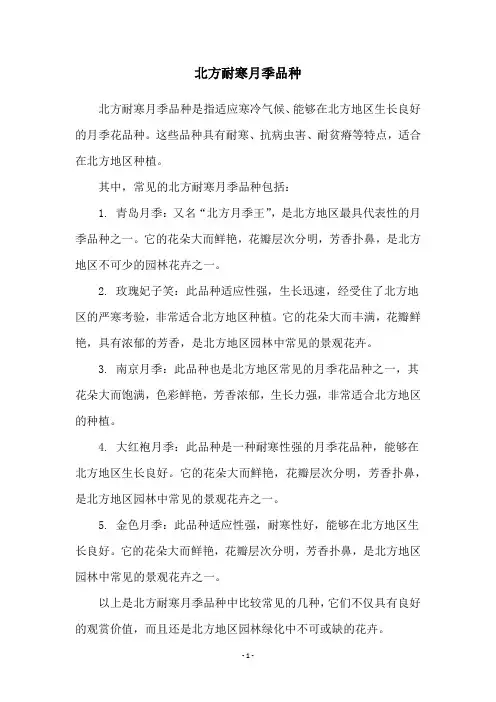北方耐寒月季品种