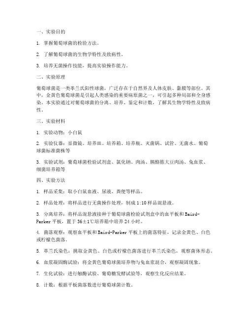 葡萄球菌的检验实训报告
