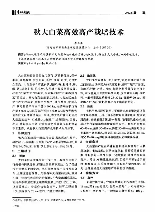 秋大白菜高效高产栽培技术