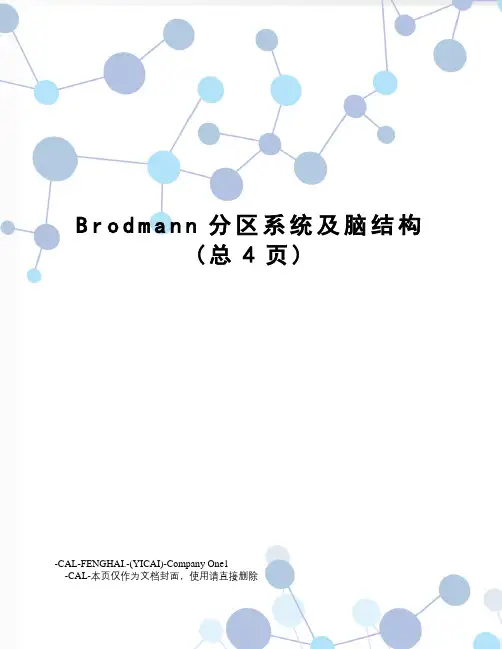 Brodmann分区系统及脑结构