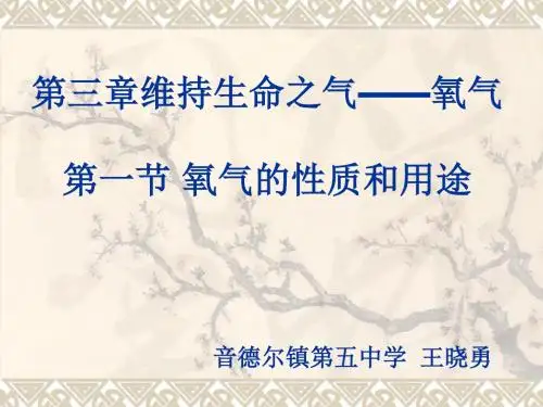 氧气的性质和用途PPT