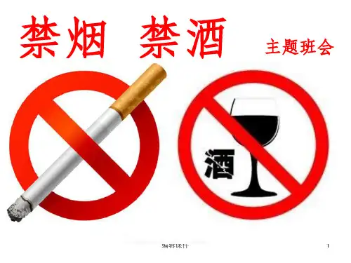 禁烟禁酒主题班会ppt课件
