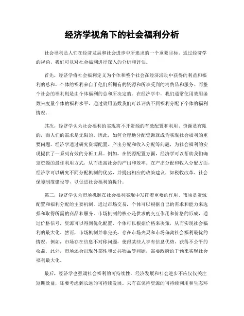 经济学视角下的社会福利分析