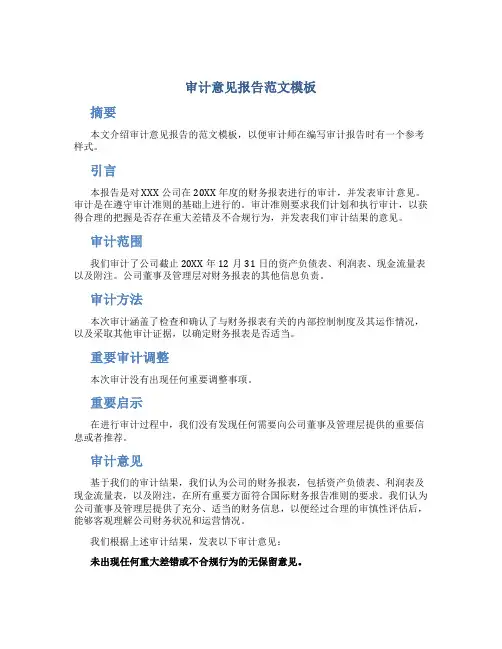 审计意见 报告范文模板