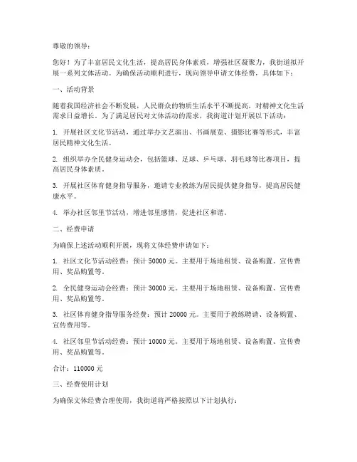街道文体经费申请报告