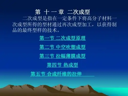 11二次成型