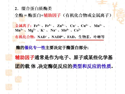 9.维生素和辅酶