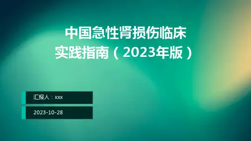 中国急性肾损伤临床实践指南(2023年版)PPT课件
