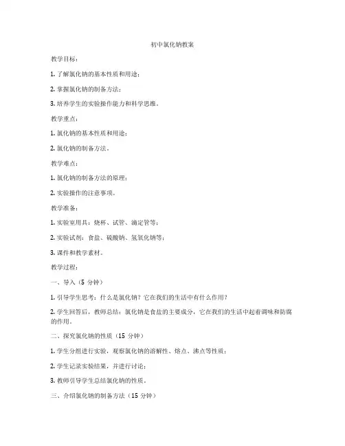初中氯化钠教案