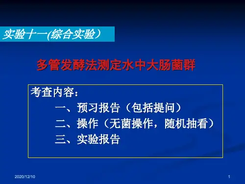 实验十一 多管发酵法测定水中大肠菌群PPT教学课件