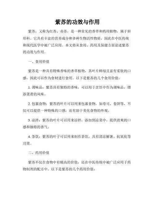 紫苏的功效与作用