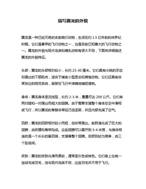 描写翼龙的外貌