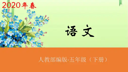 五年级下册语文课件-11军神第1课时人教(部编版) (共28张PPT)