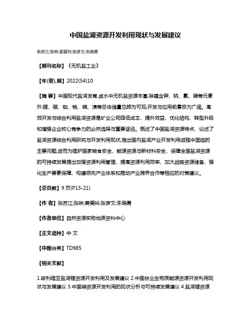 中国盐湖资源开发利用现状与发展建议