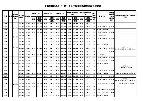 综合成果统计表22