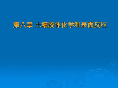 第八章 土壤胶体化学和表面反应.