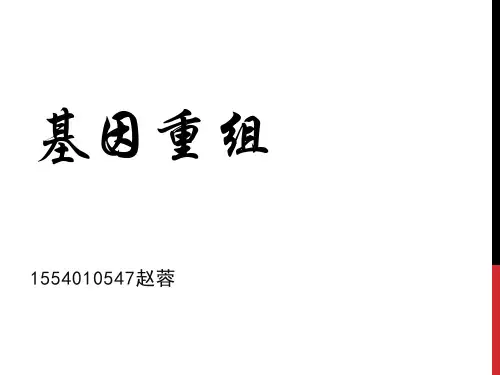 高中生物必修二基因重组