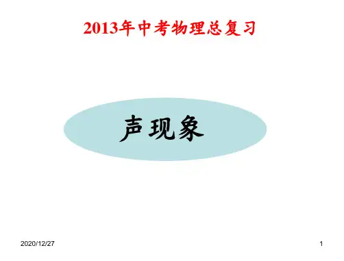 2013年中考物理总复习专题《声现象》 ppt课件